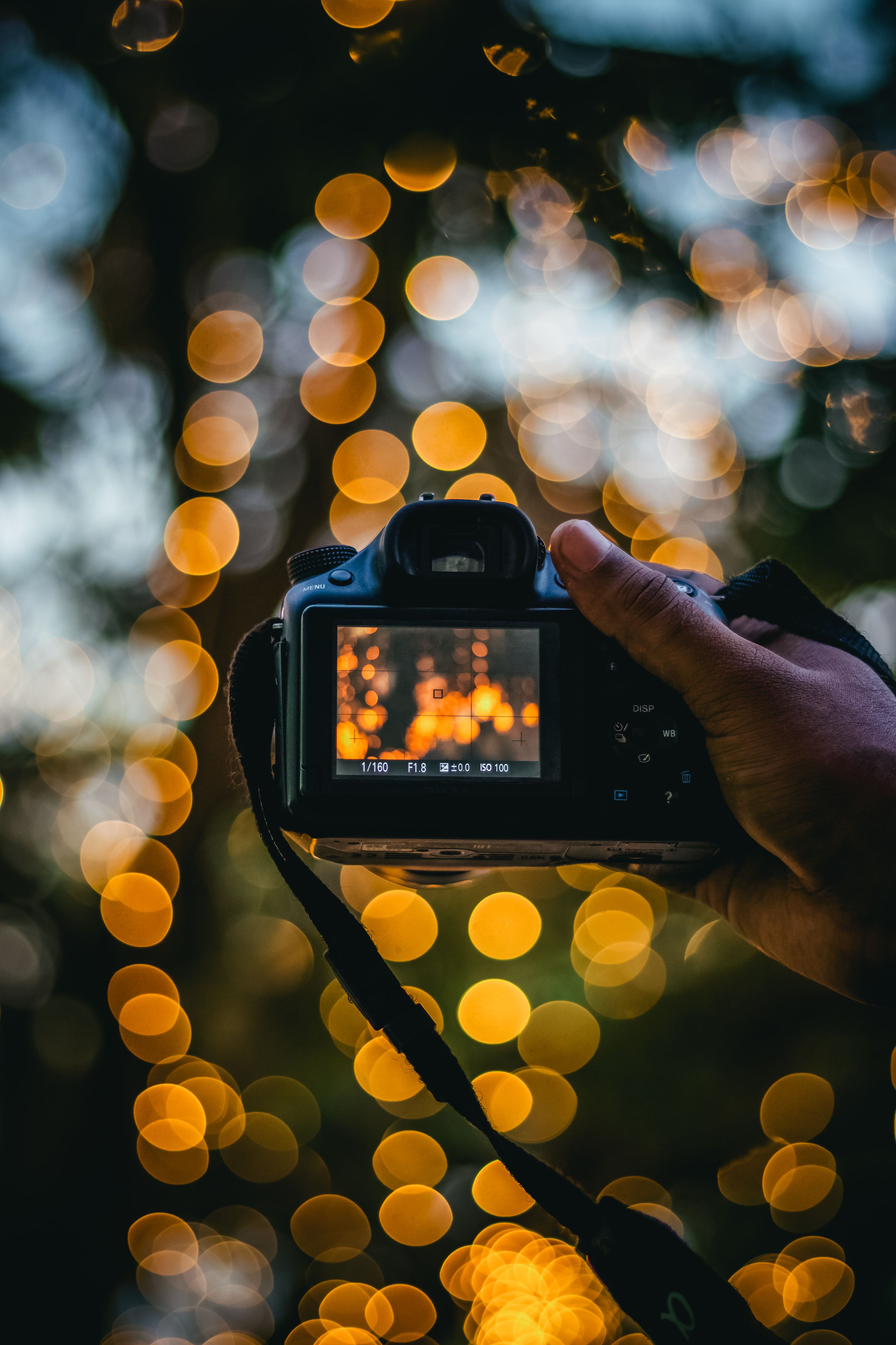 Fotografía