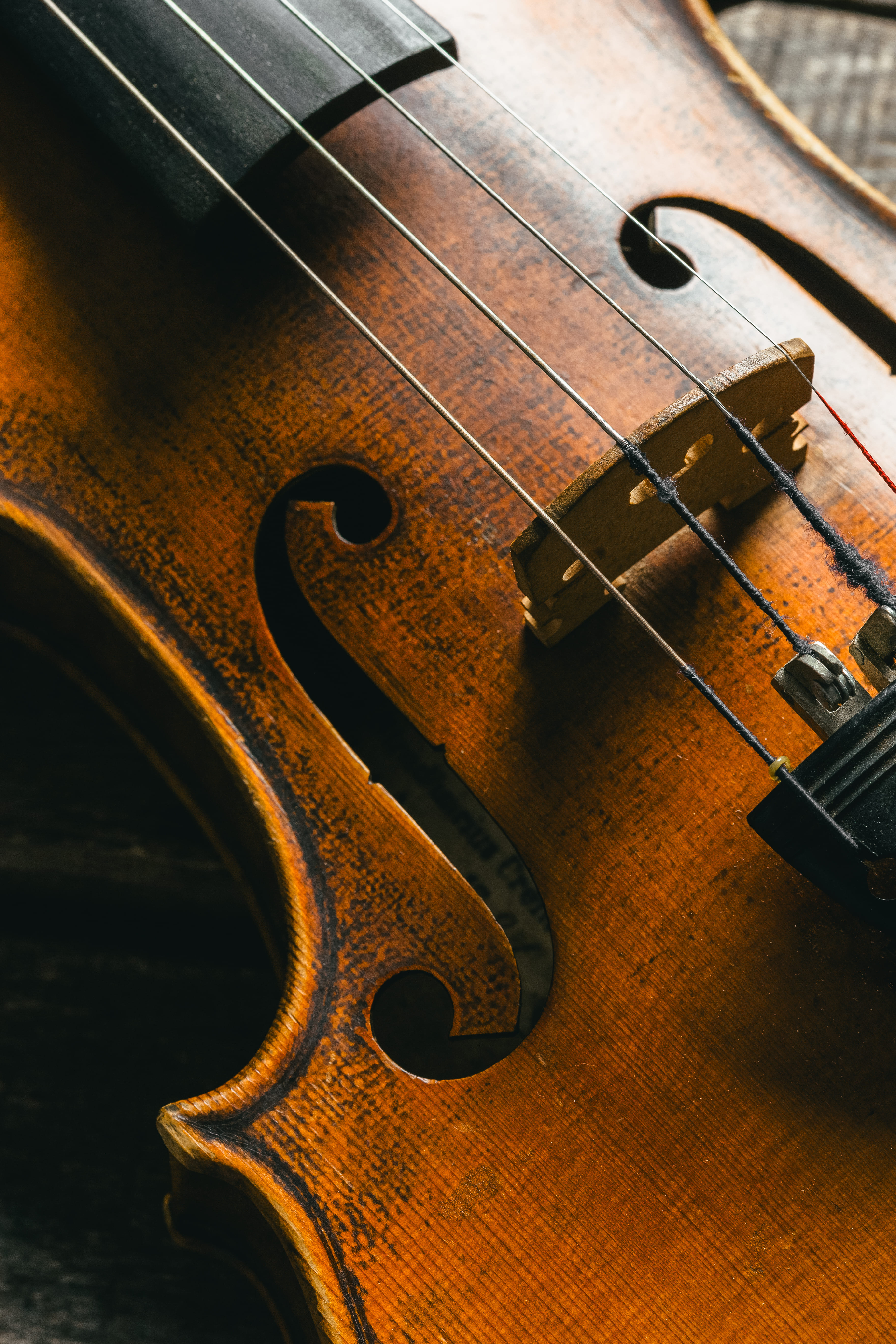 Violín