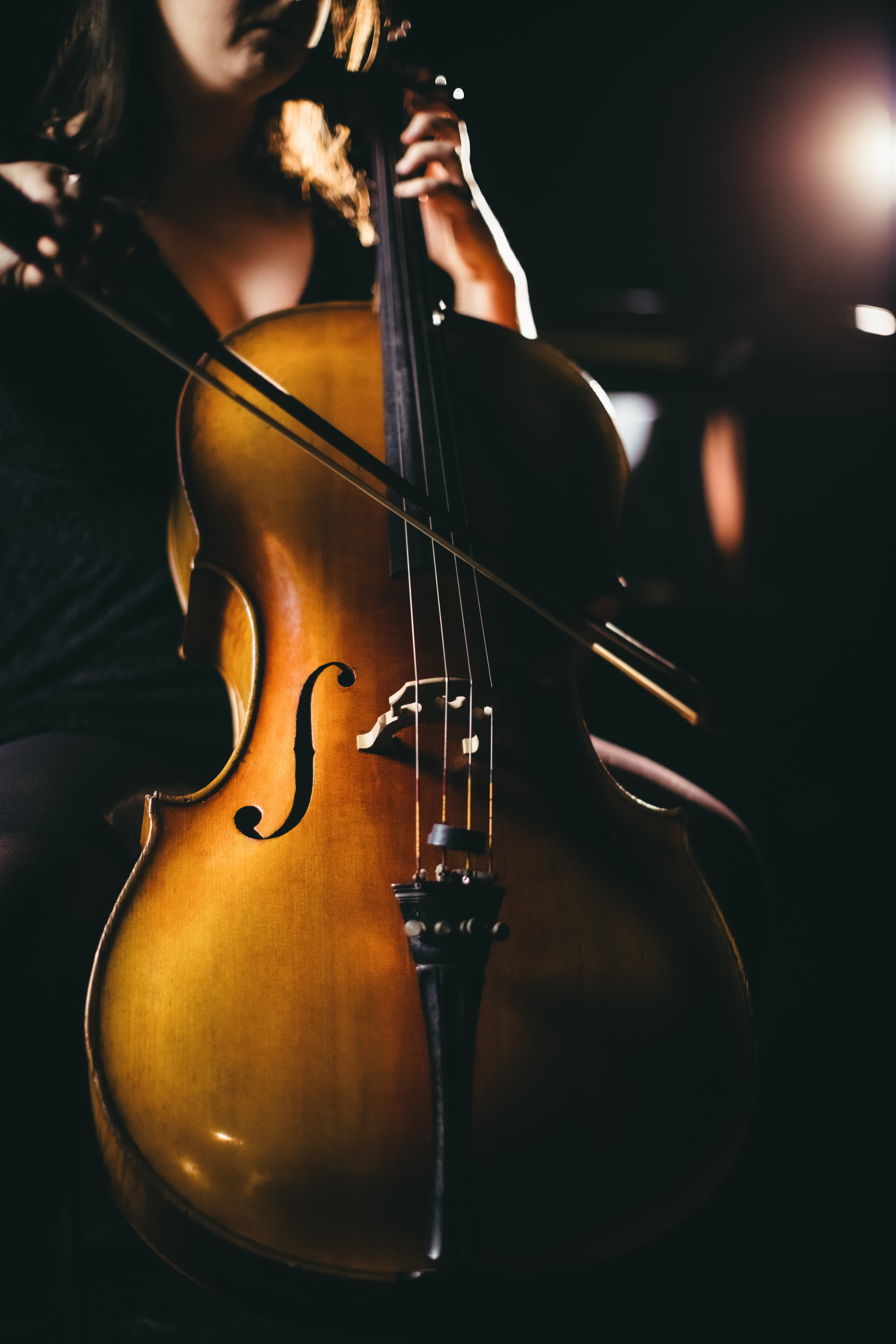Violinchelo